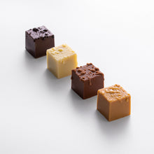 画像をギャラリービューアに読み込む, キューブボンボン カタランナッツ(4種)